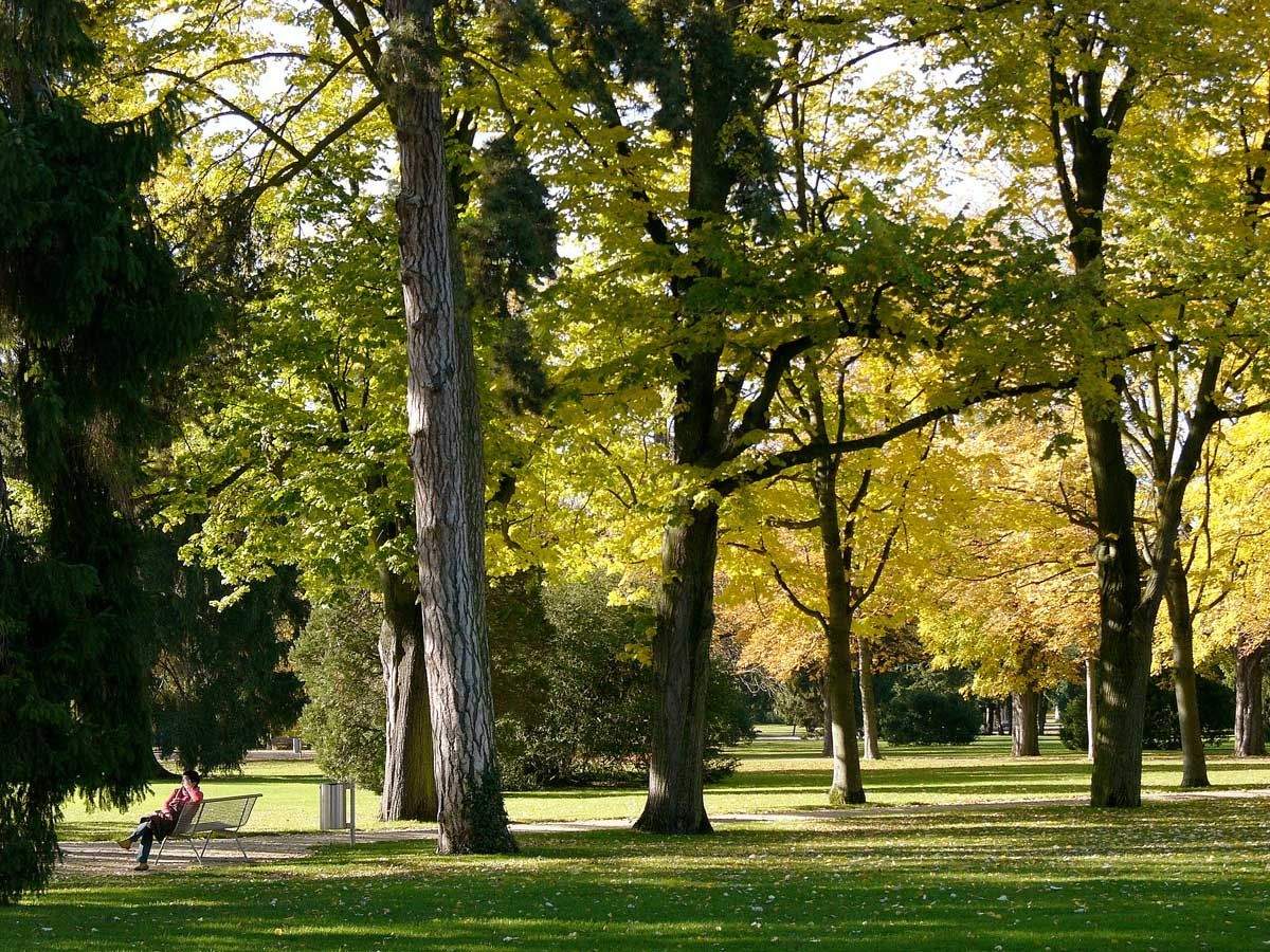 Kannenfeldpark Basel
