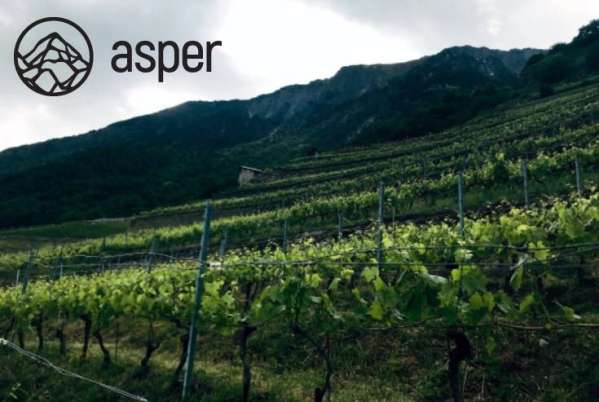 Asper