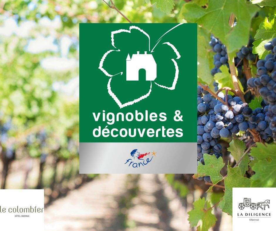 label vignobles et decouvertes