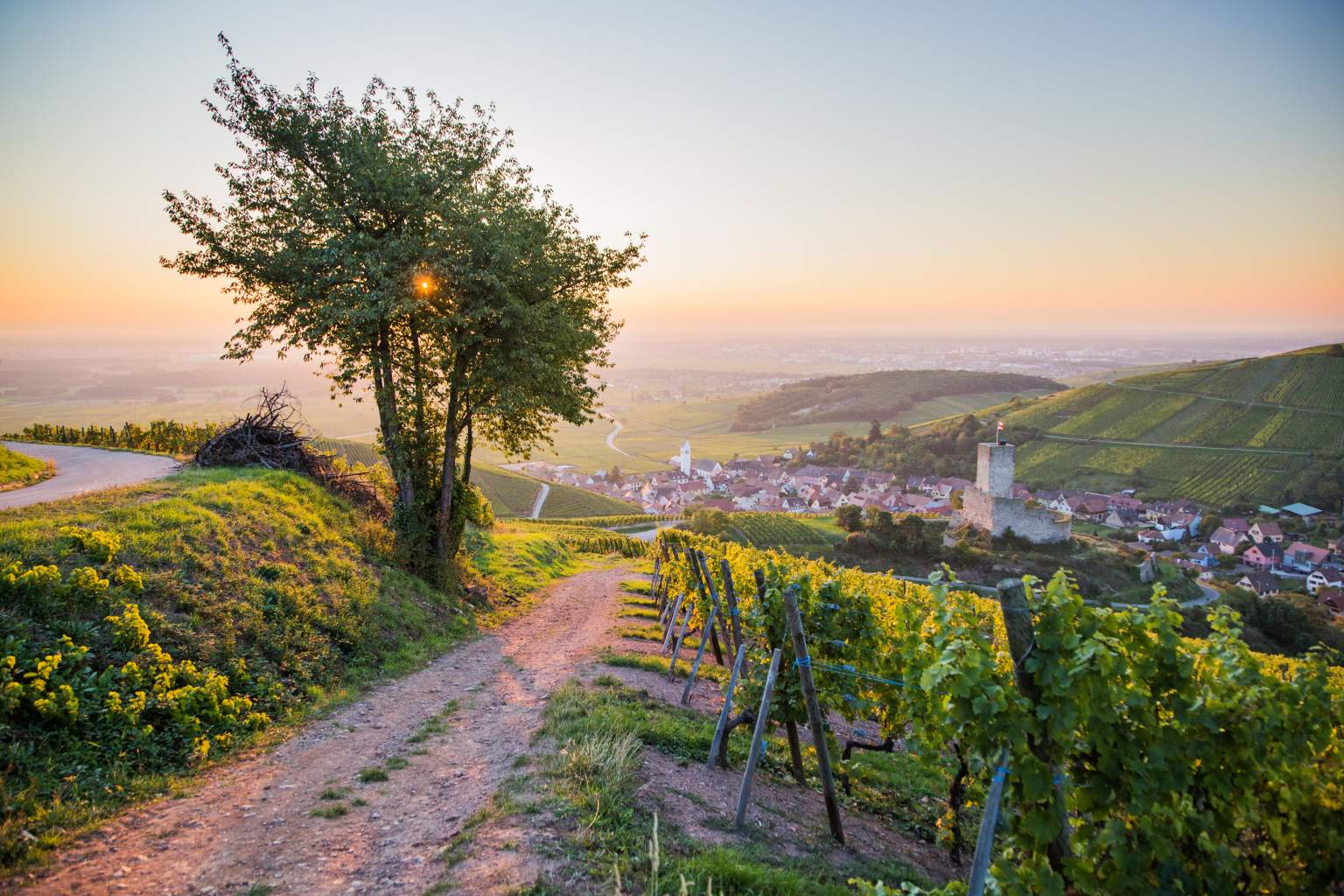 Route de vins Alsace blog diana hotels collection
